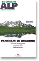 Immagine copertina